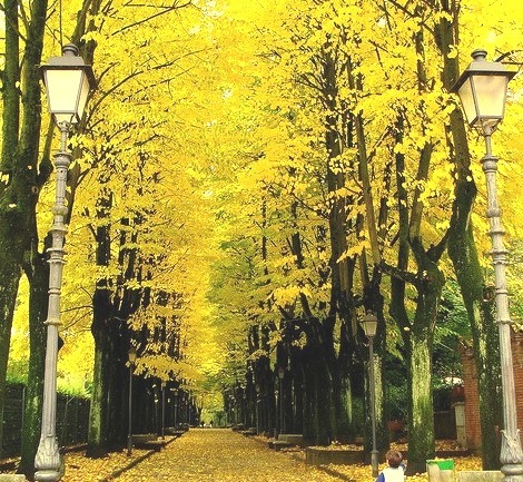 Autumn Street, Italy