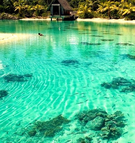 Turquoise Lagoon, Bora Bora, French Polynesia