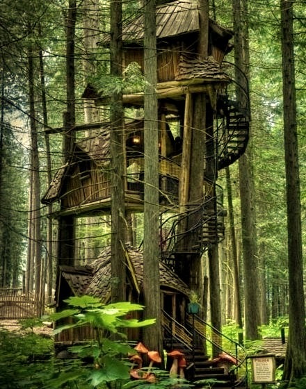Three Story Tree House, British Columbia, Canada