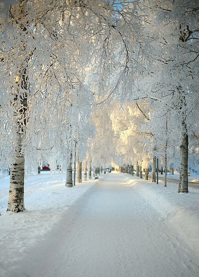 Snow Lane, Kiruna, Sweden